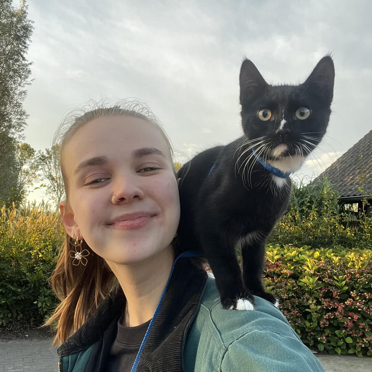 Foto